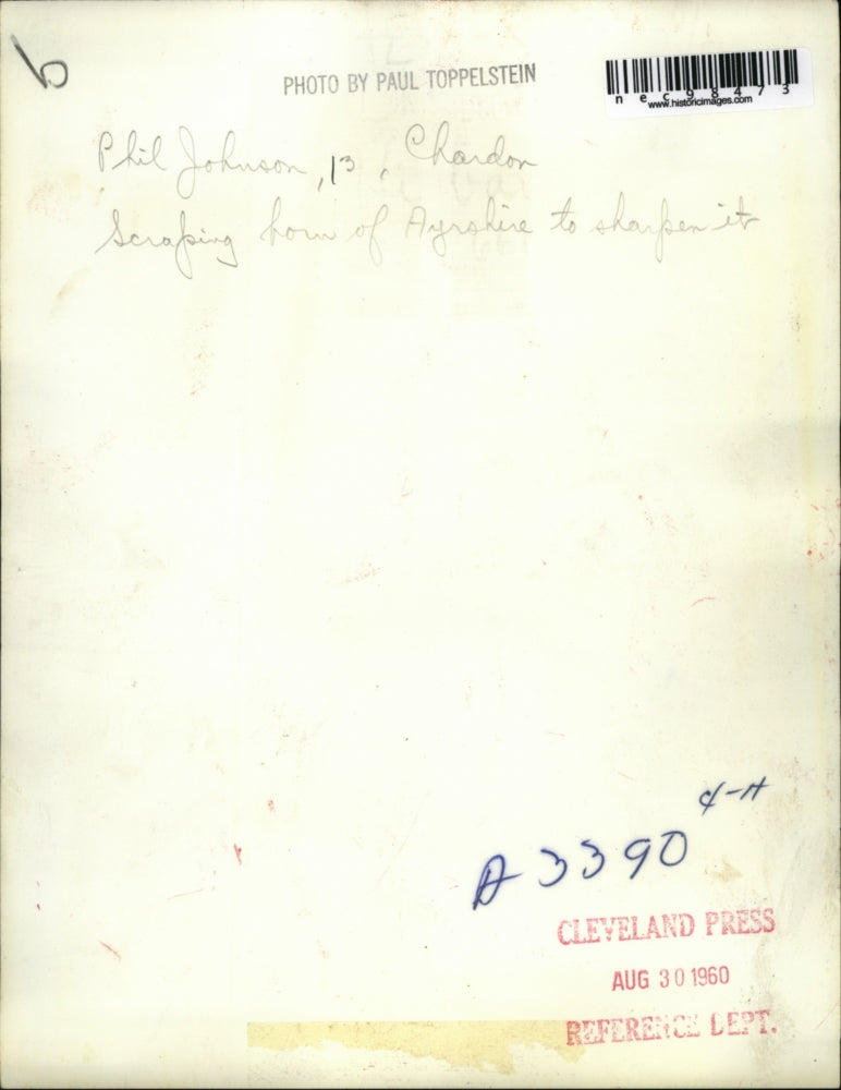 1960 Press Photo 4H Club member Phil Johnson sharpens bull horns for the fair