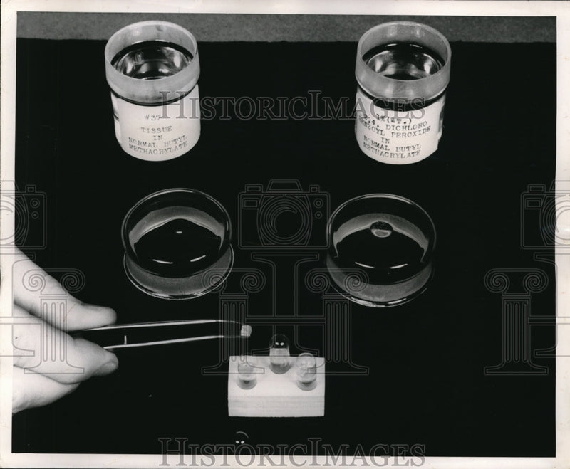 Load image into Gallery viewer, 1949 Press Photo Tissue samples preped for microscope at Bureau of Standards

