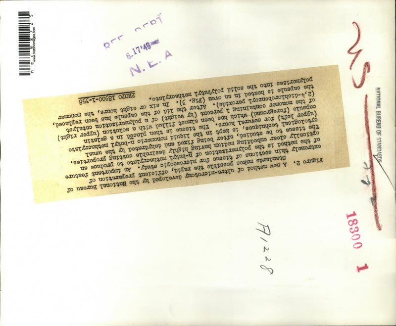 Load image into Gallery viewer, 1949 Press Photo Tissue samples preped for microscope at Bureau of Standards
