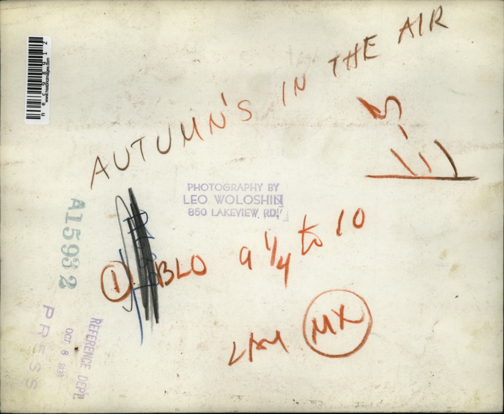 1939 Press Photo Vistors on a porch look at autumn's fall foliage