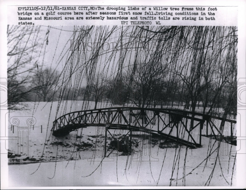 Load image into Gallery viewer, 1961 Press Photo Drooping limbs of Willow tree on the foot bridge on golf course
