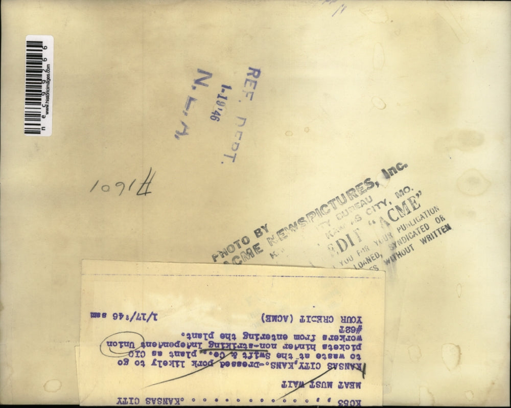 1946 Press Photo Pork that may go to waste at Swift & Co.