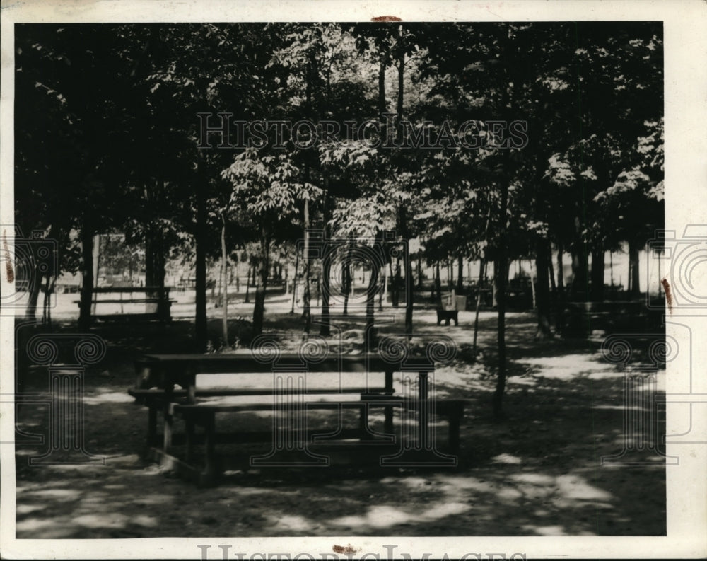 1934 Press Photo Euclid Creek picnic area at Cleveland Ohio