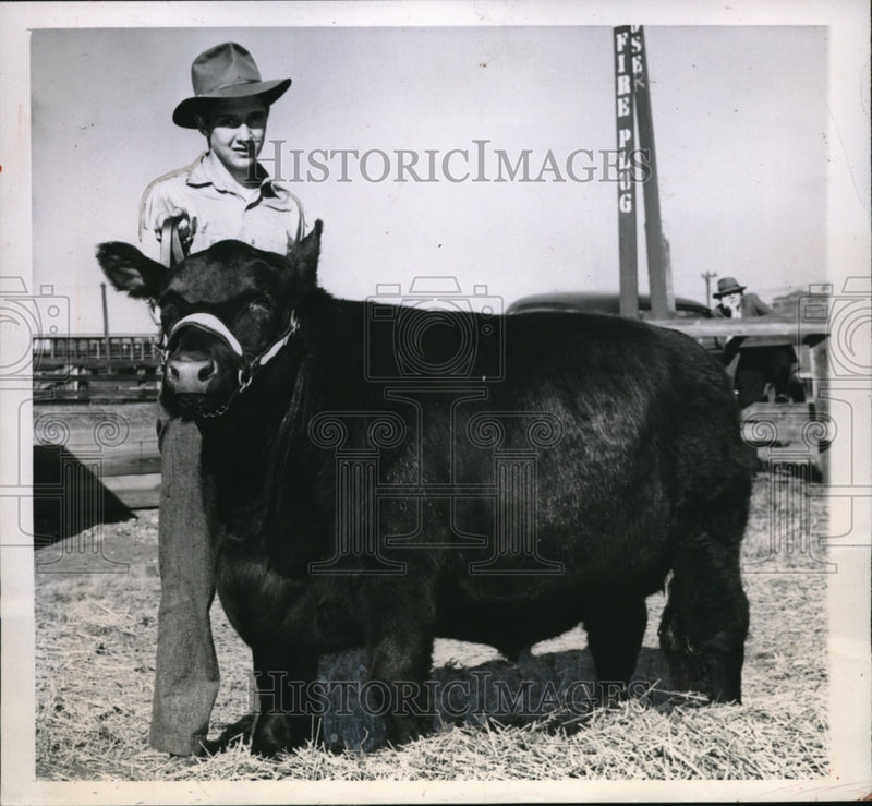 Load image into Gallery viewer, 1944 Press Photo Kansas City Mo Jack Hoffman &amp; 4-H prize bull at Stock show
