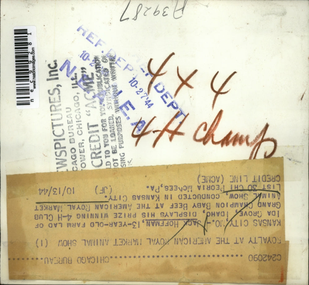 1944 Press Photo Kansas City Mo Jack Hoffman & 4-H prize bull at Stock show