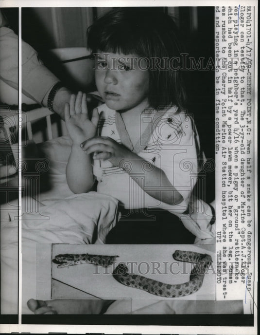 1959 Press Photo Susan Zlogar was bitten by a snake that had been cut in half.