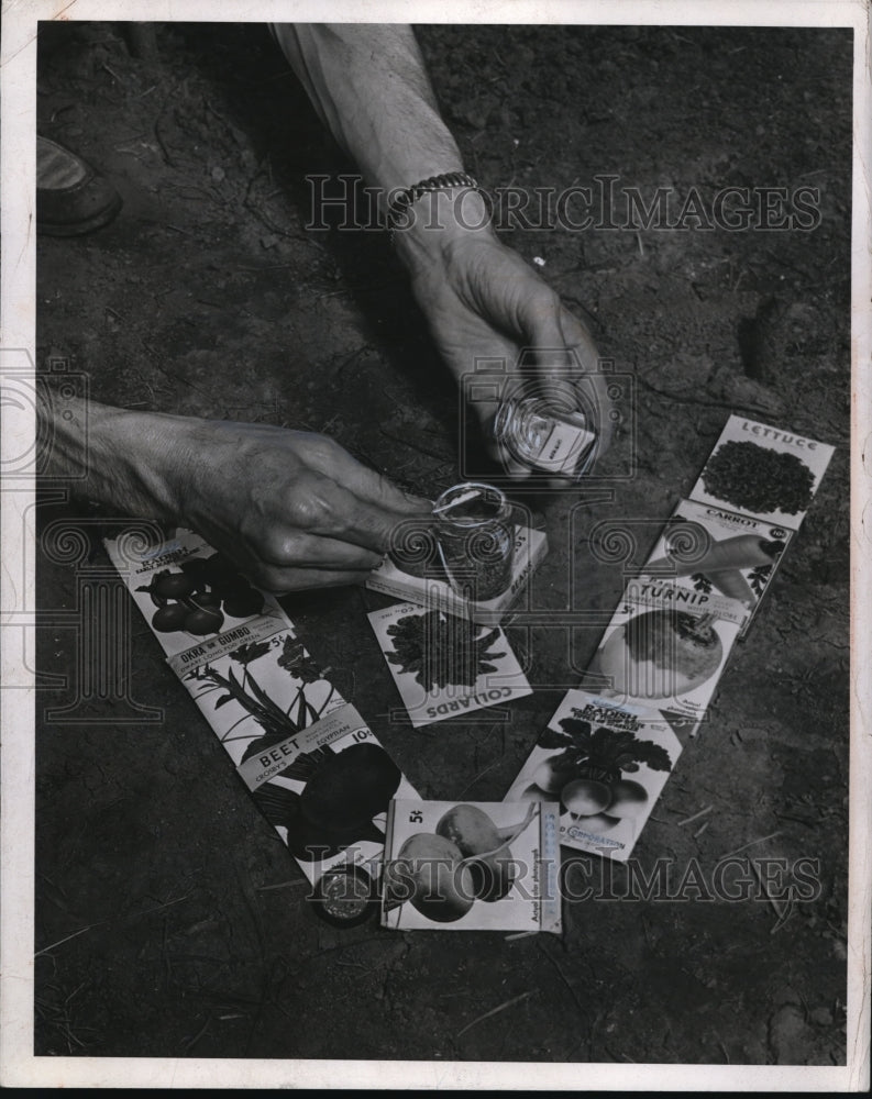 Load image into Gallery viewer, 1944 Press Photo PROTECTIVE CHEMICAL DUST TO PROTECT SEEDS

