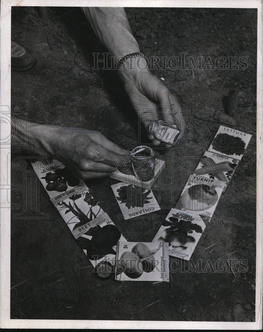 1944 Press Photo PROTECTIVE CHEMICAL DUST TO PROTECT SEEDS