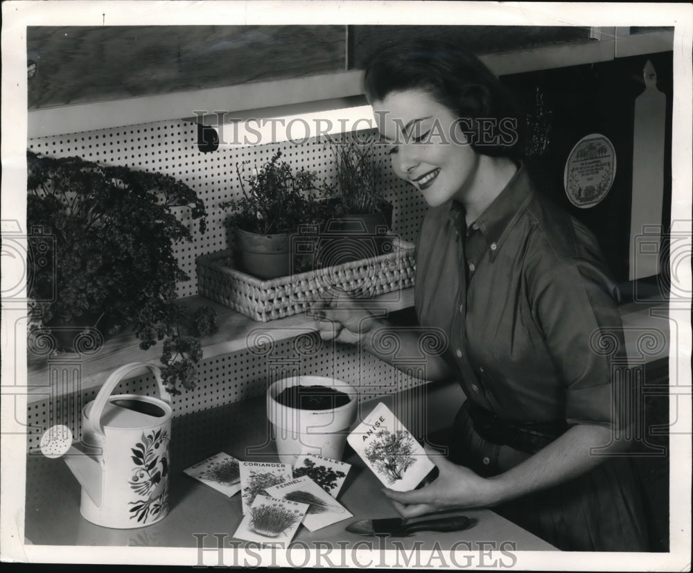 1957 Press Photo Fluorescent light helps growth of plants