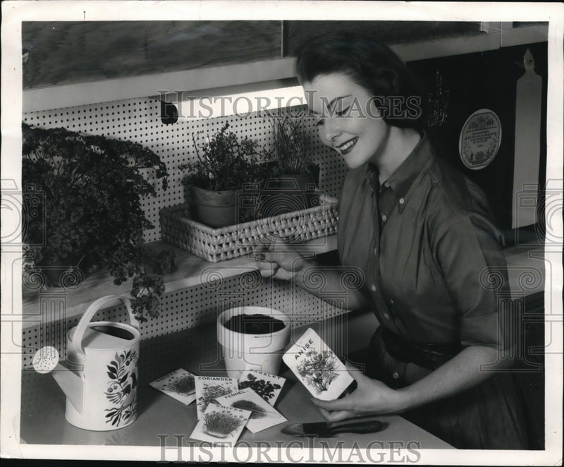 Load image into Gallery viewer, 1957 Press Photo Fluorescent light helps growth of plants
