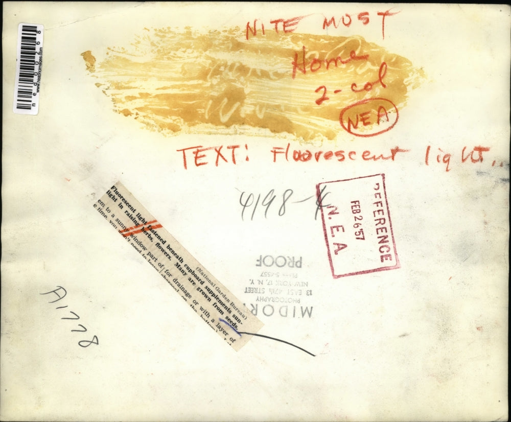 1957 Press Photo Fluorescent light helps growth of plants