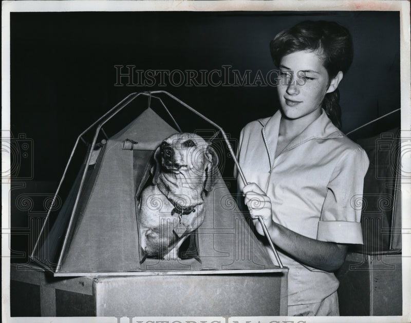 Load image into Gallery viewer, 1962 Press Photo Puptent Kathy Shield of Kissimee Fla - ned00282
