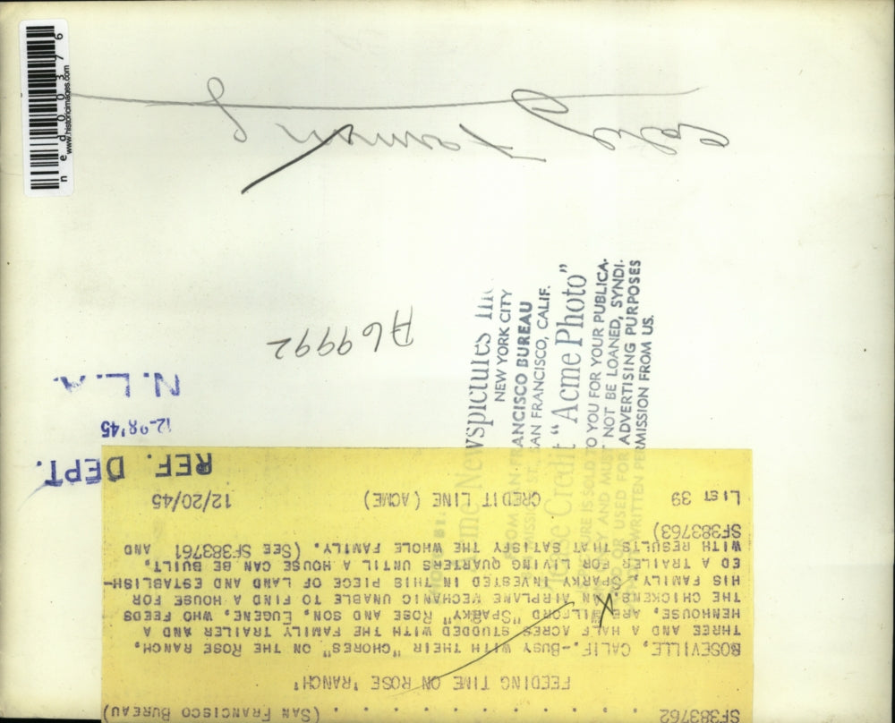 1945 Press Photo Mr Wilford Rose and Son Eugene feeding their Chickens