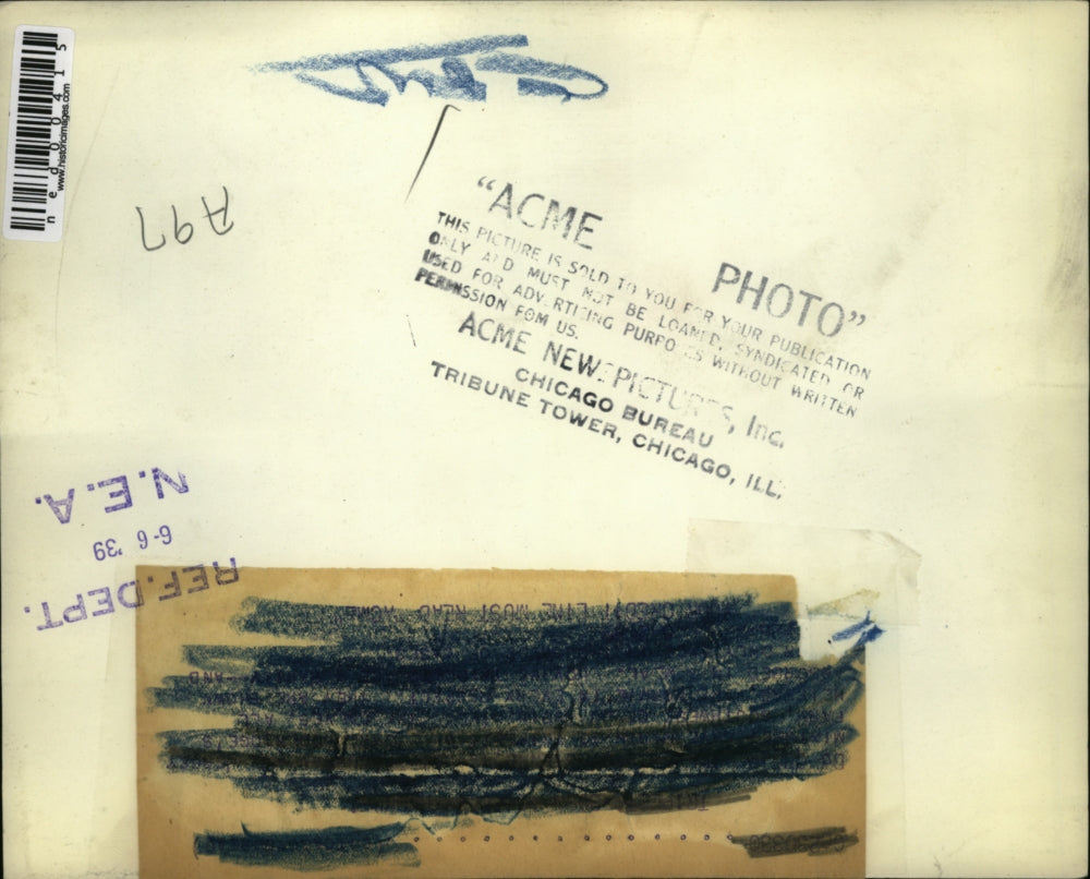 1939 Press Photo Triplet Calves in Switzerland