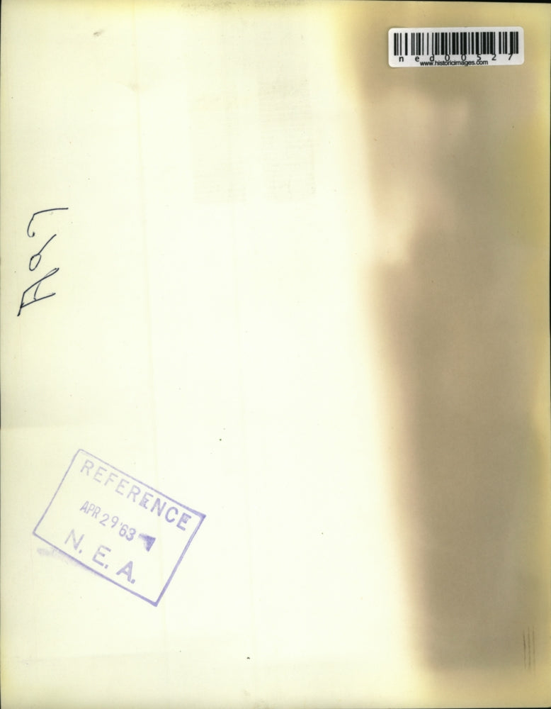 1963 Press Photo Friends of Mrs. Bacon helped pull the animal out