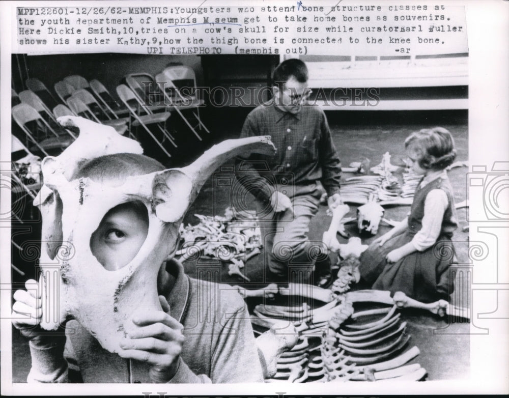 1962 Press Photo Memphis Museum bone structure classes - ned00766