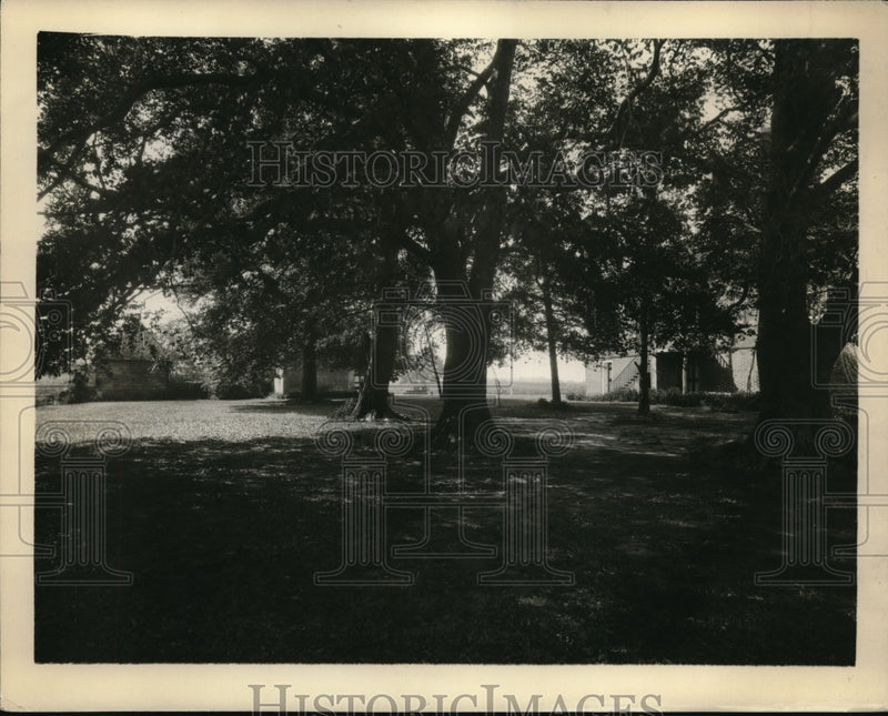 Load image into Gallery viewer, 1932 Press Photo Robert E Lee English Beechnut Trees at the East wing view
