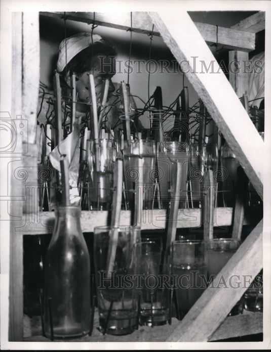 1957 Press Photo West Berlin "Water Glass Piano" - ned01132