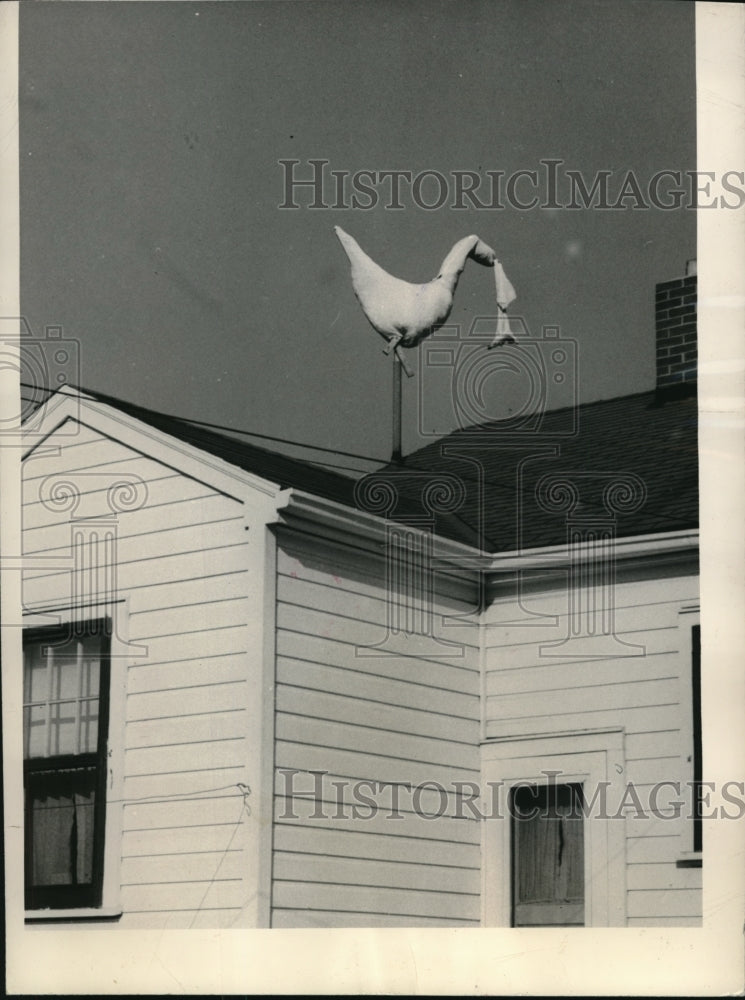 1948 Press Photo Deyton Ohio Prankster put stork on house