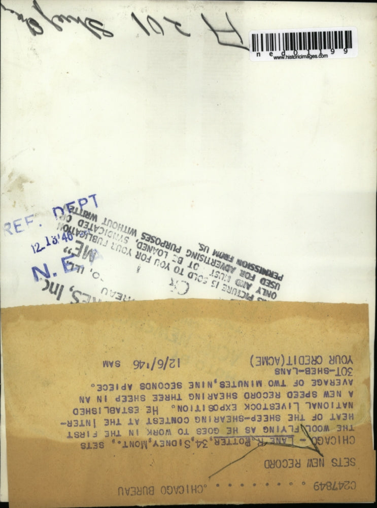 1946 Press Photo Chicago Lane R Potter in sheep shearing contest