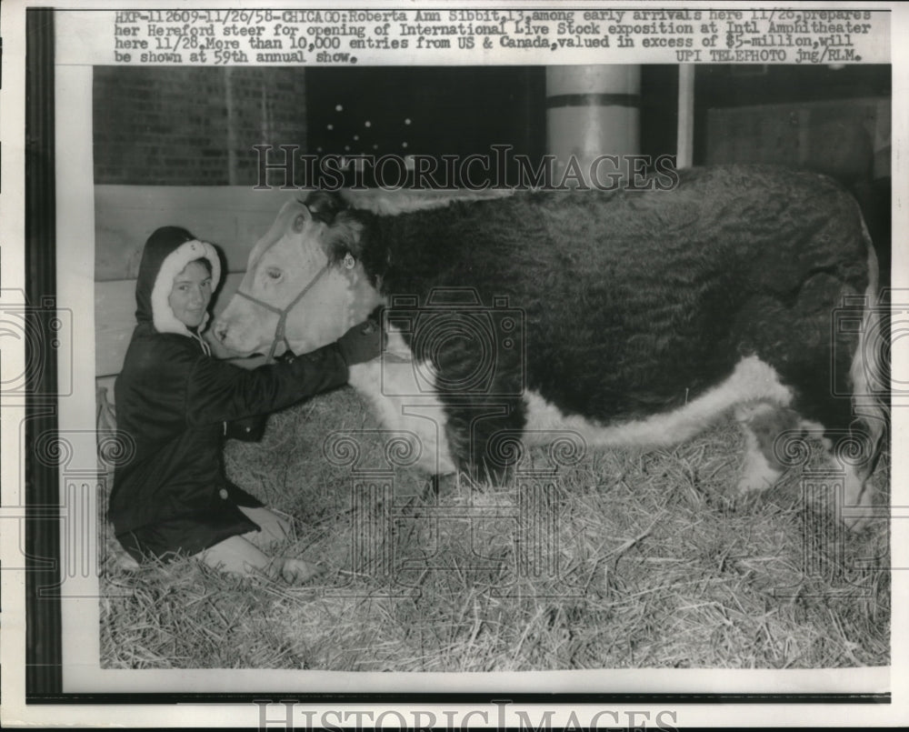 1958 Press Photo Chicago Roberta Ann Sibbit & Hereford steer at Livestock expo