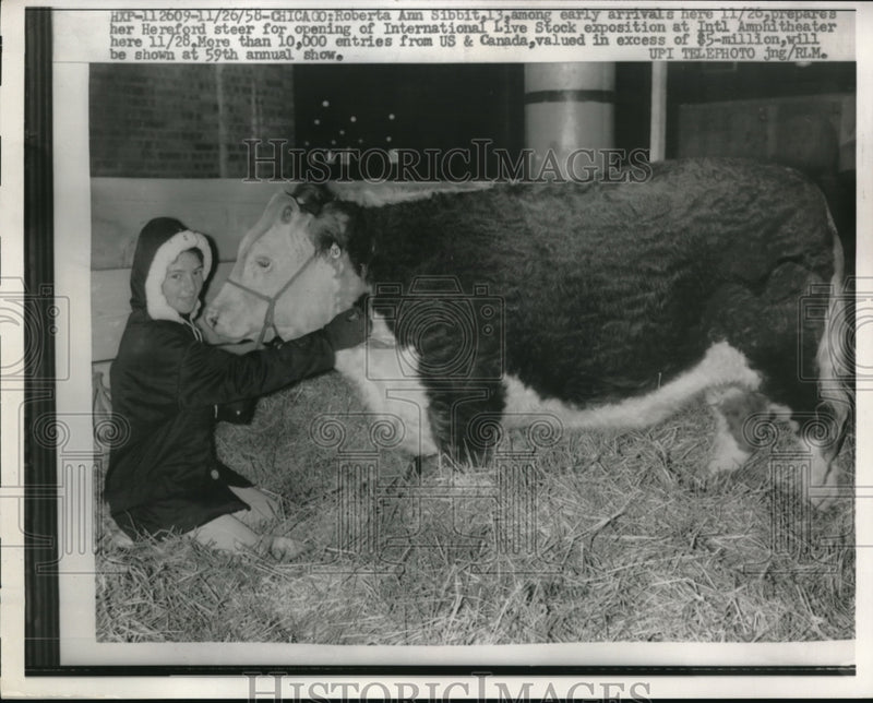 Load image into Gallery viewer, 1958 Press Photo Chicago Roberta Ann Sibbit &amp; Hereford steer at Livestock expo

