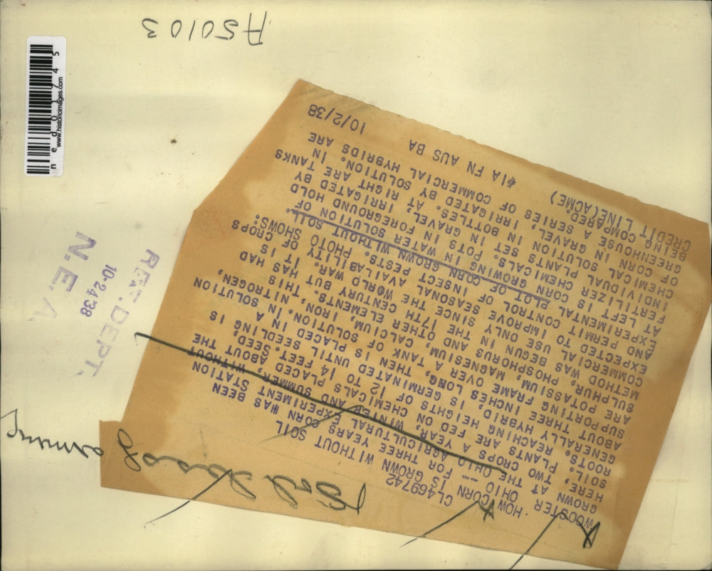 1938 Press Photo Wooster ohio Agri experiment station & corn without soil