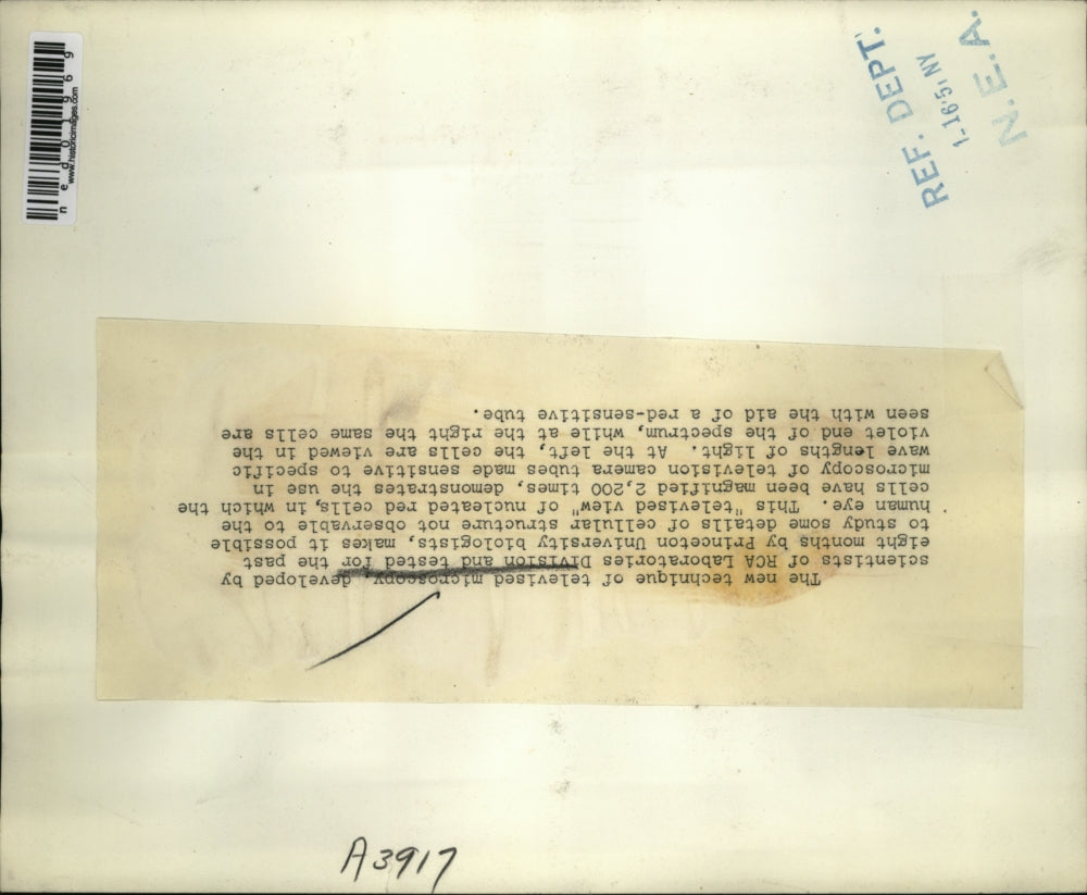 1951 Press Photo New TV view of microscopy of RCA labs tests