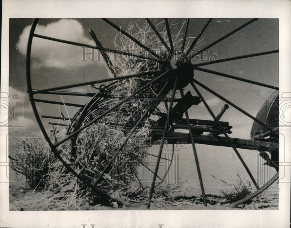 1940 Press Photo Great shot of a rake with the weeds collected at the farm