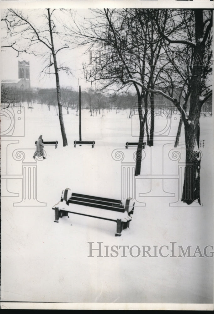 1954 Press Photo Minneapolis Snow Filled Park with lonely bench and early riser