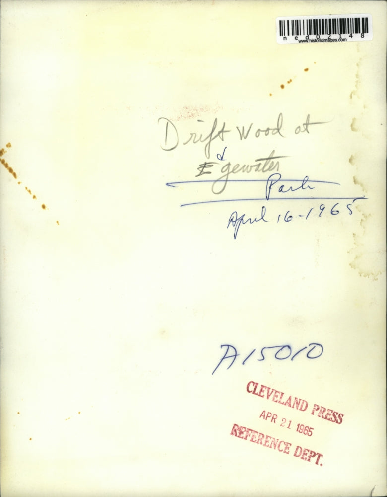 1965 Press Photo Some drift woods floating at the water park