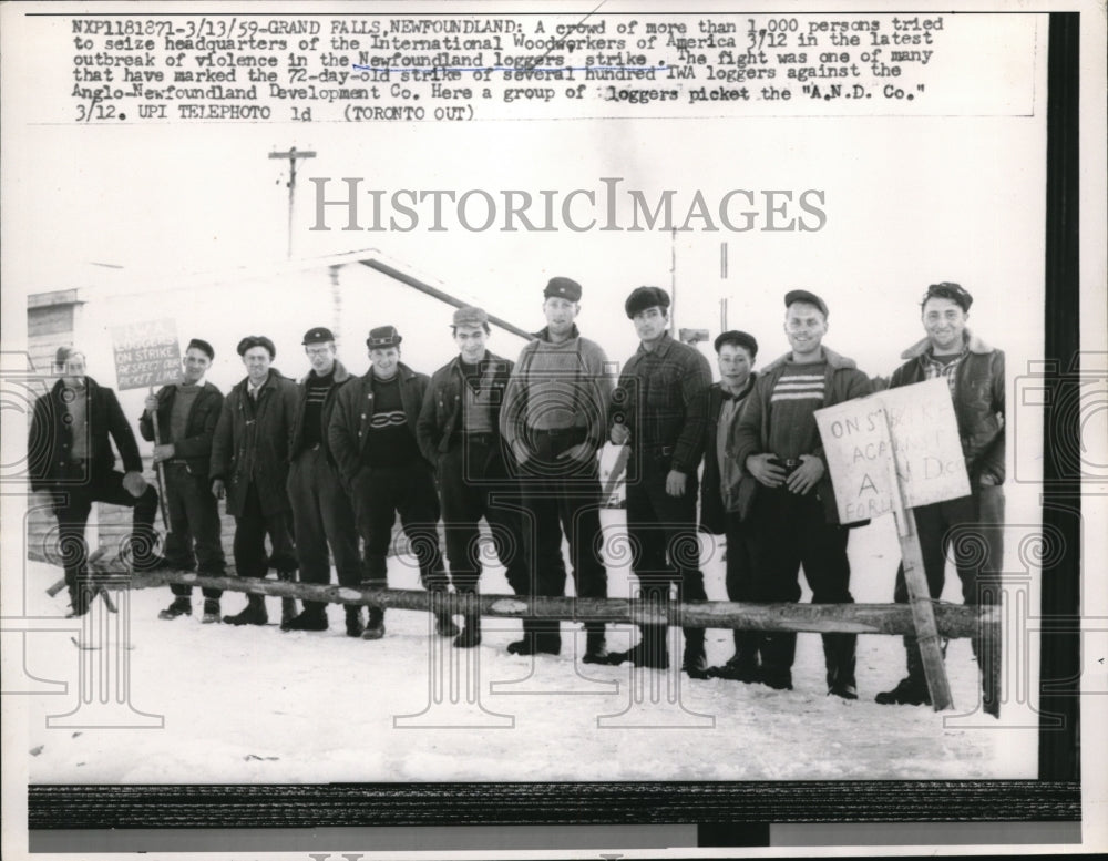 1959 Press Photo The latest outbreak of violence in the Newfound loggers' strike