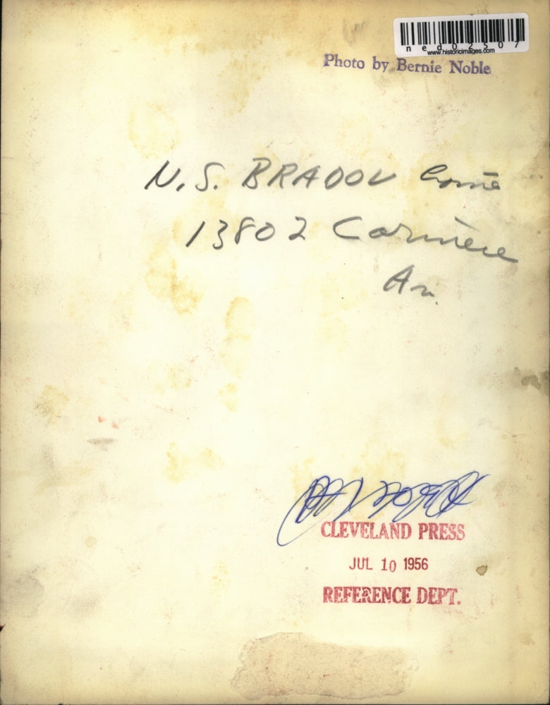 1956 Press Photo A poodle at a Cleveland Ohio home - ned02507