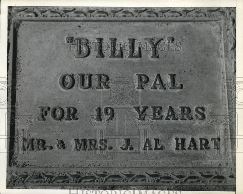 Load image into Gallery viewer, 1935 Press Photo LA Calif pet cemetery headstone of Billy owned by JA Hart's
