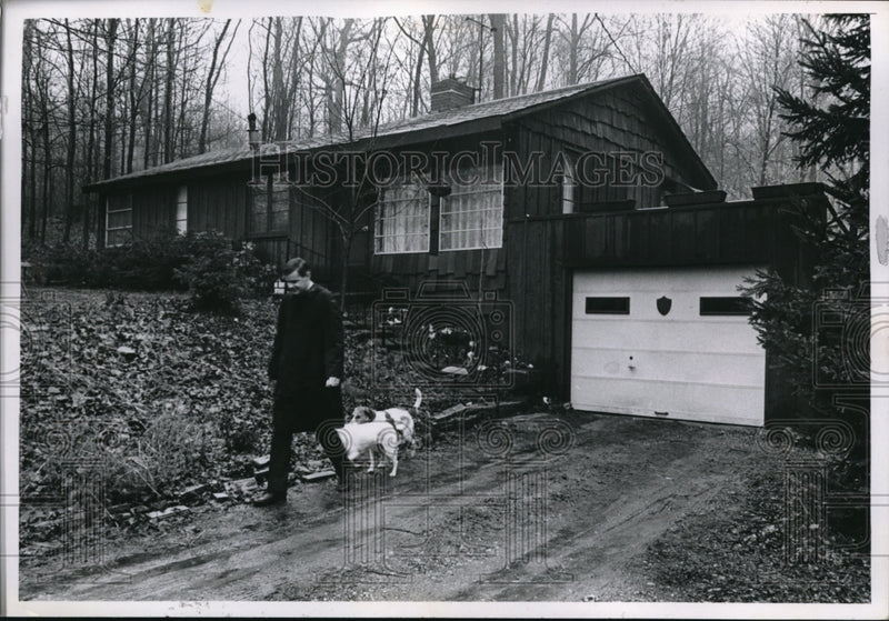 Load image into Gallery viewer, 1967 Press Photo A walk with two buddies
