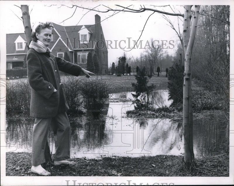 Load image into Gallery viewer, 1962 Press Photo Mrs. Charles Dienes points at her flooded front lawn.
