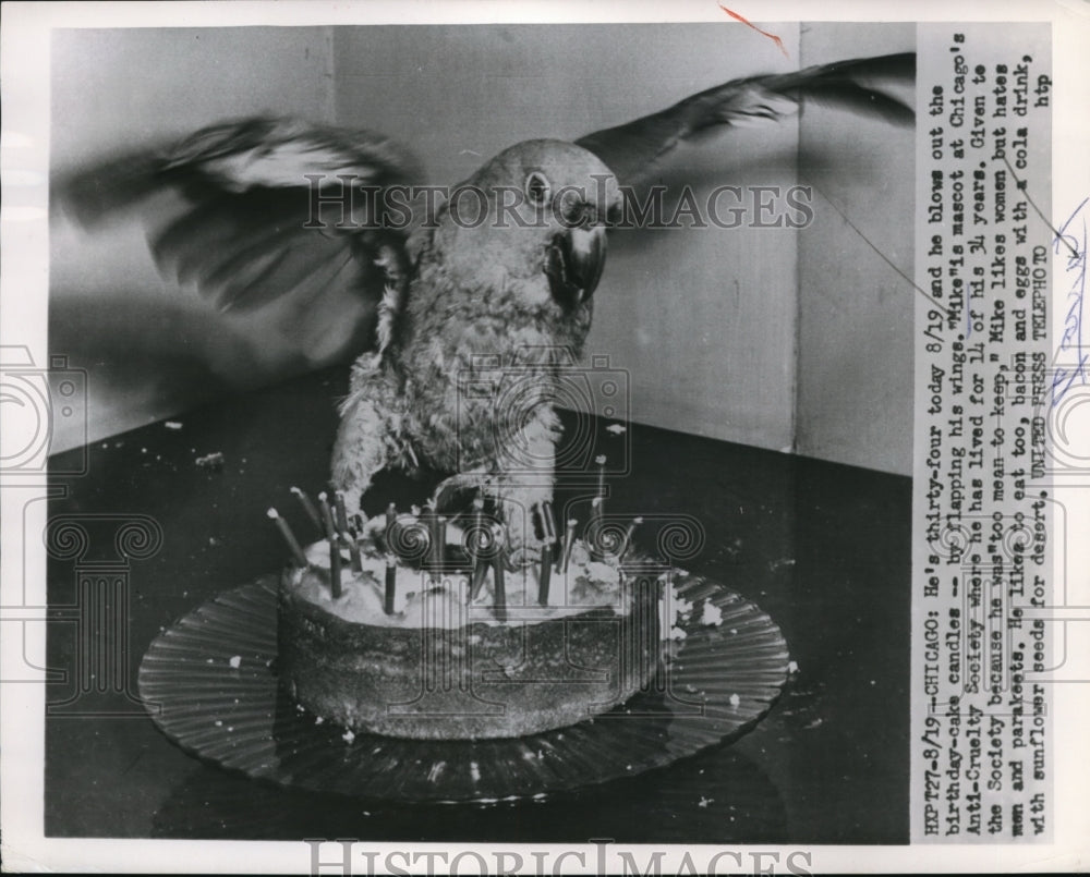 1954 Press Photo The anti cruelty society's mascot Mike blows his candle