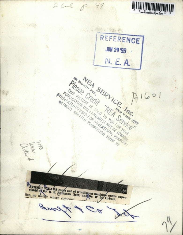 1955 Press Photo Dr HE Robinson & Dr WM Urbain & irradition of steaks