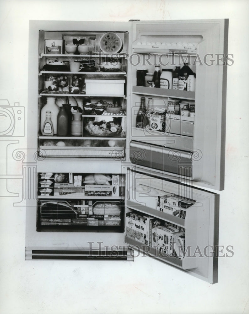1955 Press Photo New decorator series Freezer Refrigerator by Amana