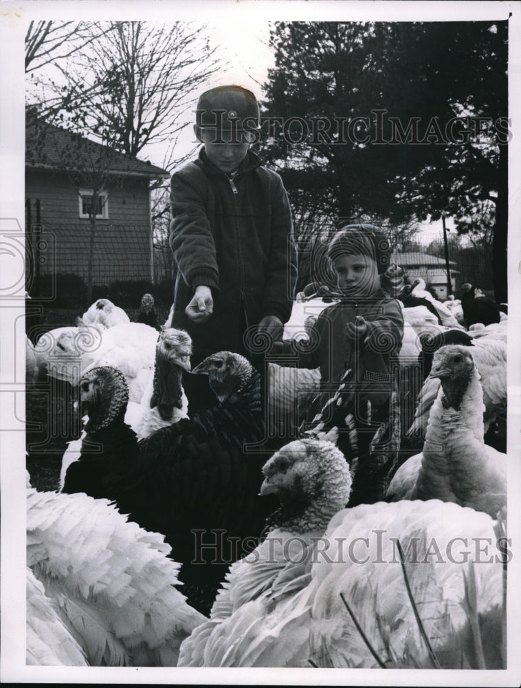 Load image into Gallery viewer, 1962 Press Photo Bobby Stone and Marcy Bartlett feeding the turkeys
