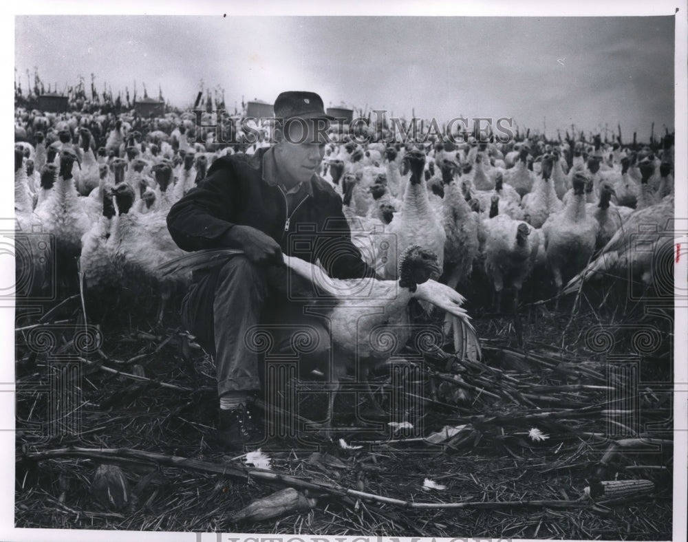 1964 Press Photo Roger Spies Jr on his turkey farm