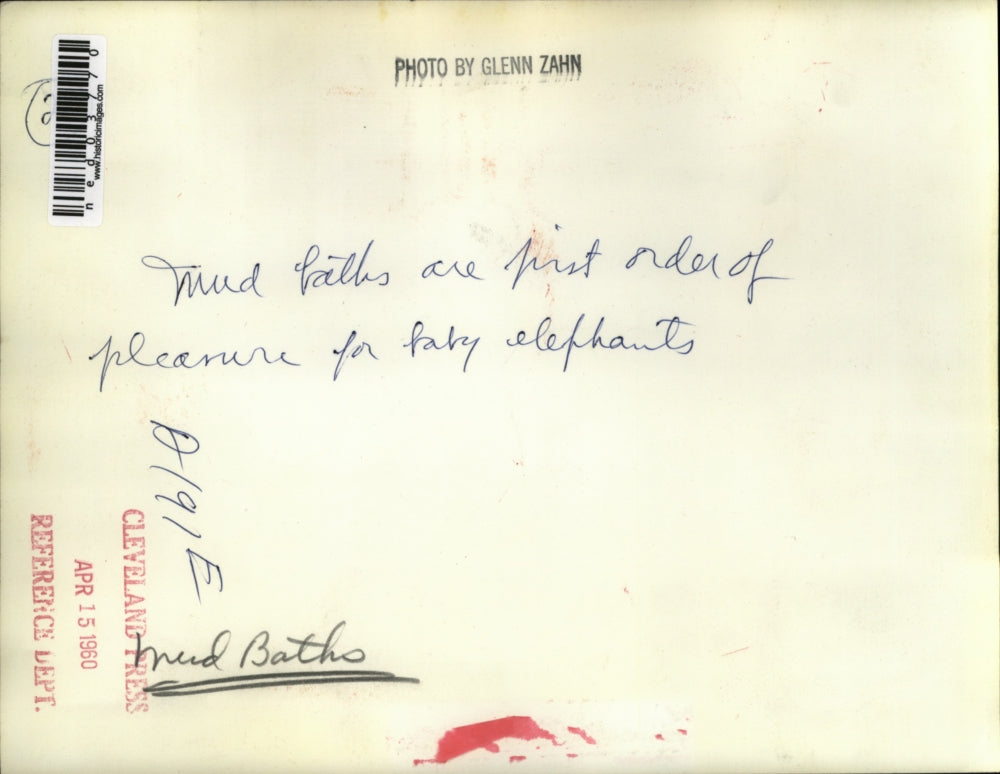 1960 Press Photo Three baby elephants taking mud baths at zoo in Cleveland Ohio