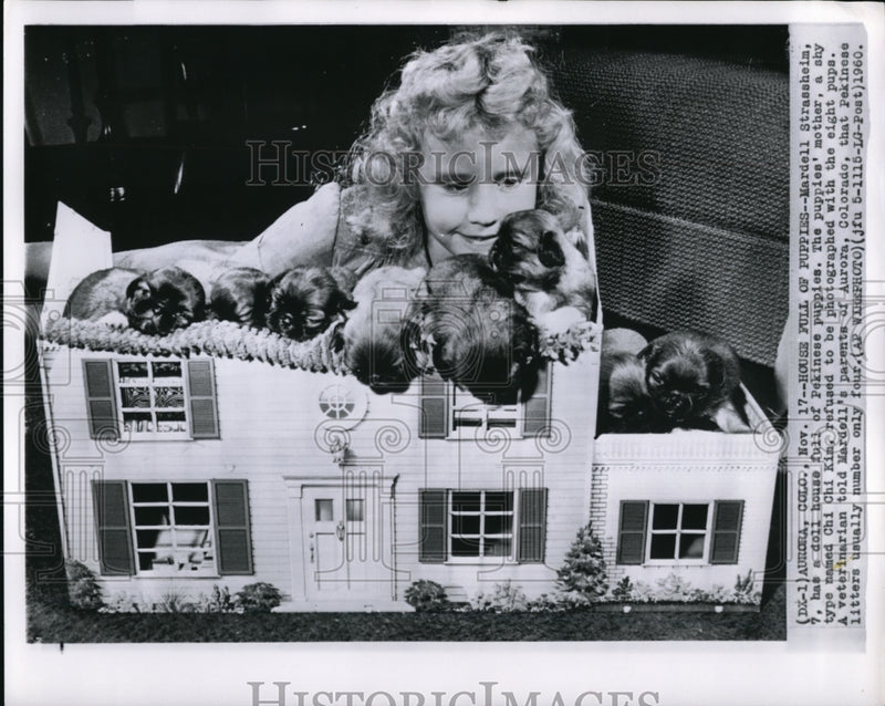 Load image into Gallery viewer, 1960 Press Photo Aurora Colo Mardell Strassheim has a houseful of puppies
