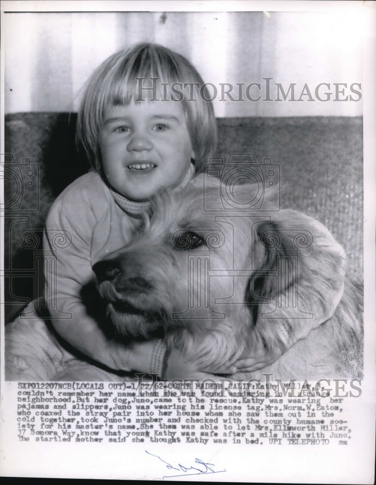 Load image into Gallery viewer, 1962 Press Photo Calif Kathy Miller age 3 &amp; her dog Juno were lost now home safe
