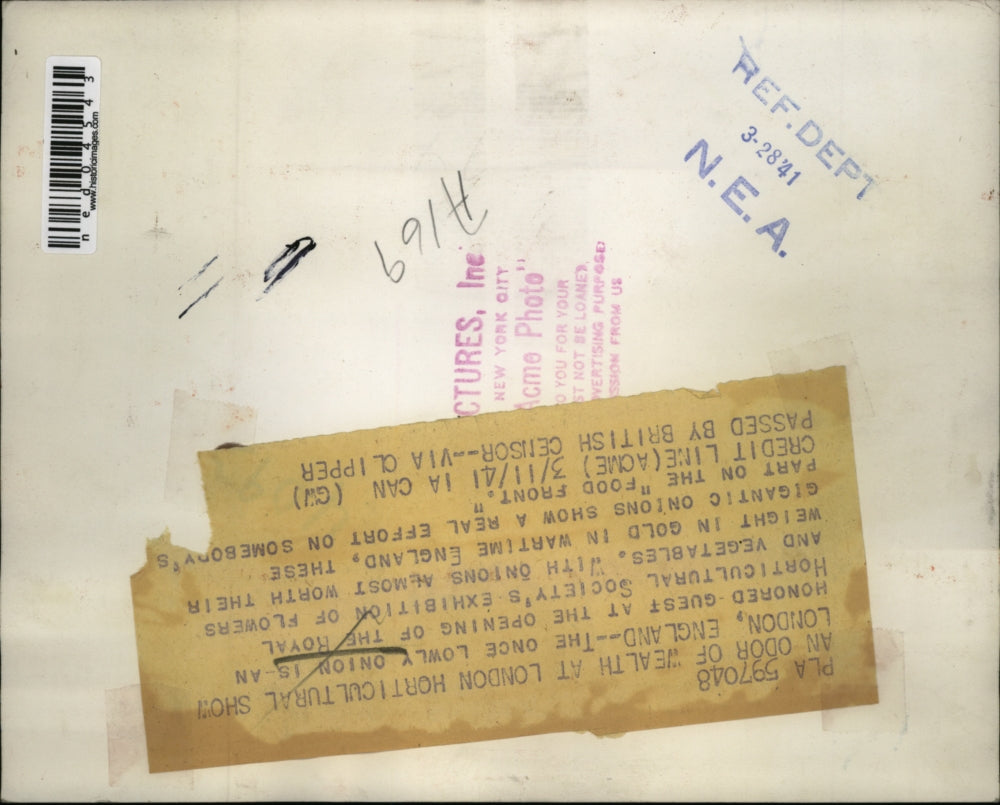 1941 Media Photo Onion at horticultural exhibit in London