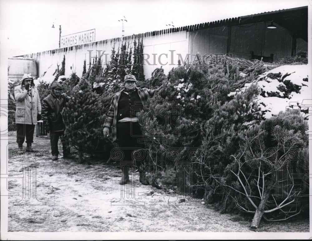 1953 Media Photo Louis Berkowitz selling Xmas trees in Cleveland Ohio