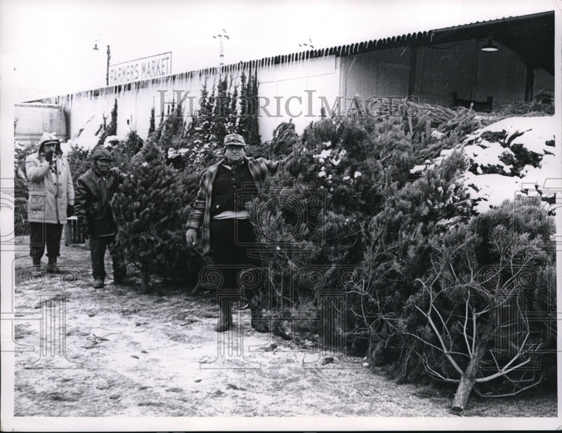 Load image into Gallery viewer, 1953 Media Photo Louis Berkowitz selling Xmas trees in Cleveland Ohio
