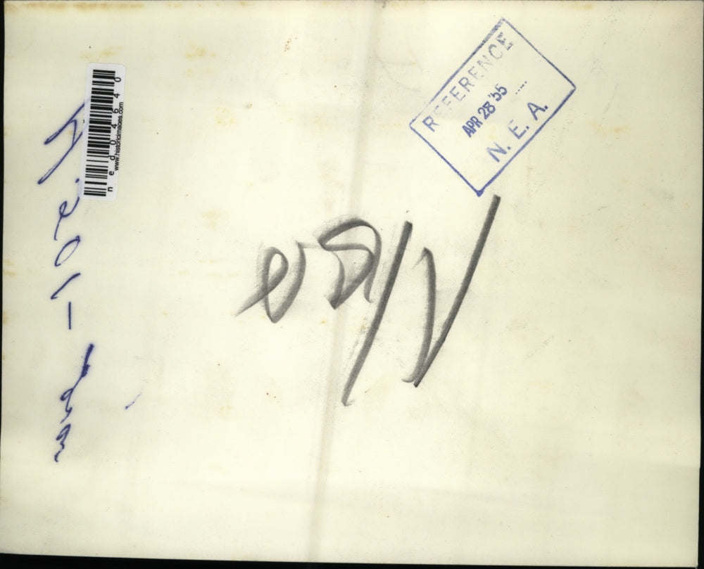 1955 Press Photo Two 5-week old lion cubs with 4-week old tiger on photo shoots