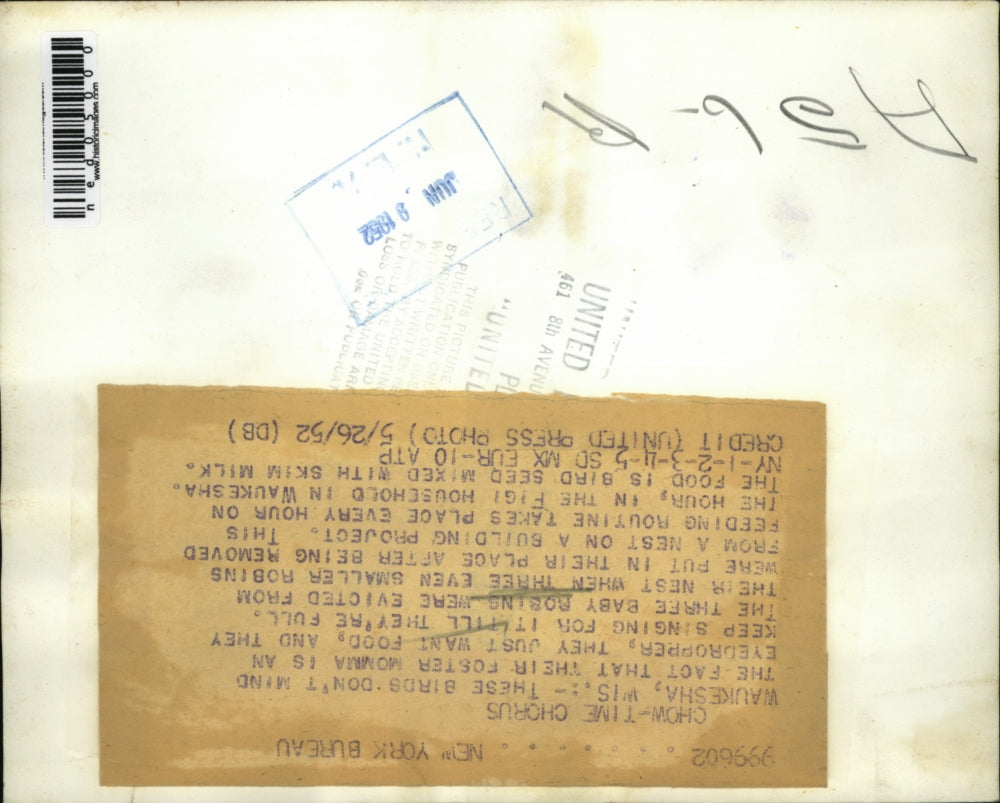 1952 Press Photo Waukesha Wis Baby birs fed with a eye dropper in Figi house