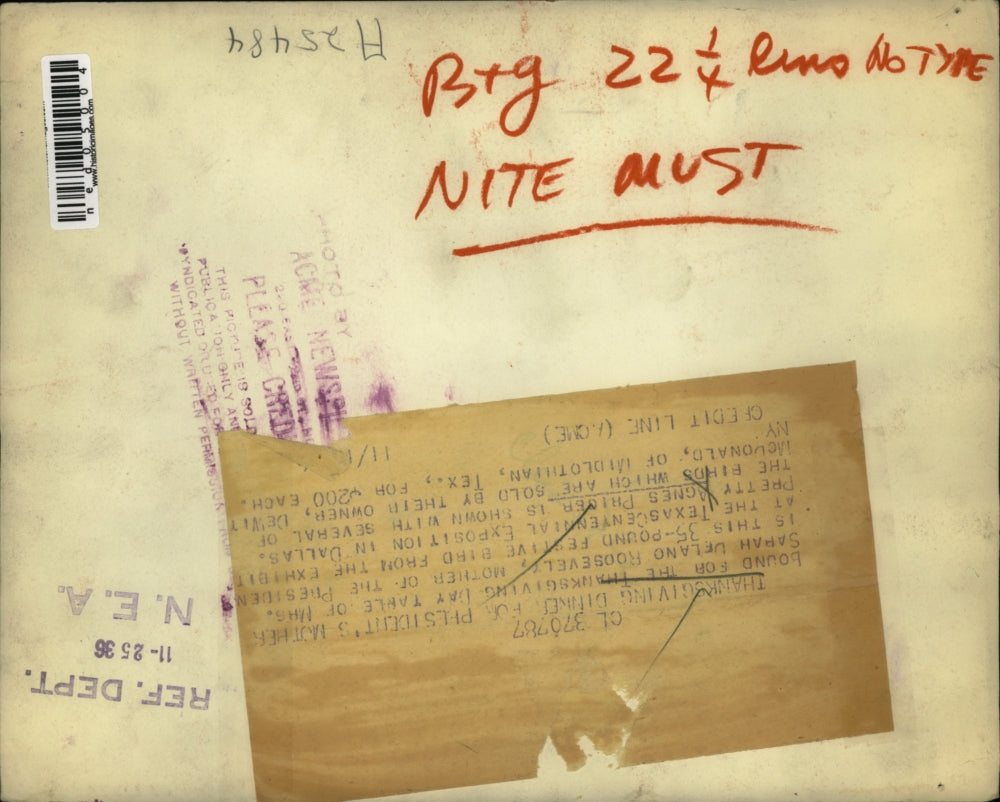 1936 Press Photo Agnes Pricer looks for a turkey for the President's mother